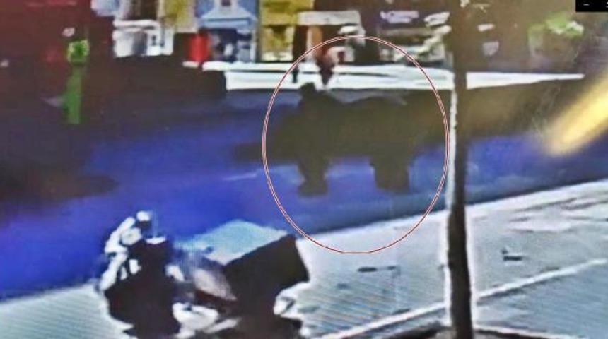 50 gün sonra sokağa çıktılar, motosiklet çarptı