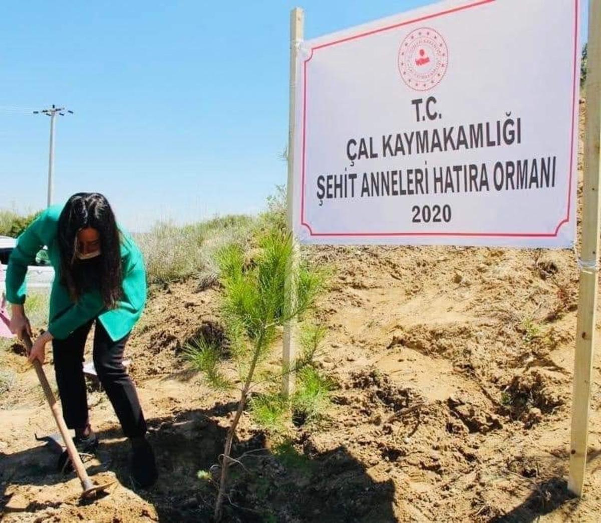 &Ccedil;al&rsquo;da şehit anneleri i&ccedil;in hatıra ormanı oluşturuldu