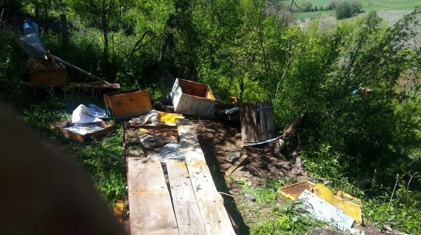 A&ccedil; kalan ayı arı kovanlarına saldırdı