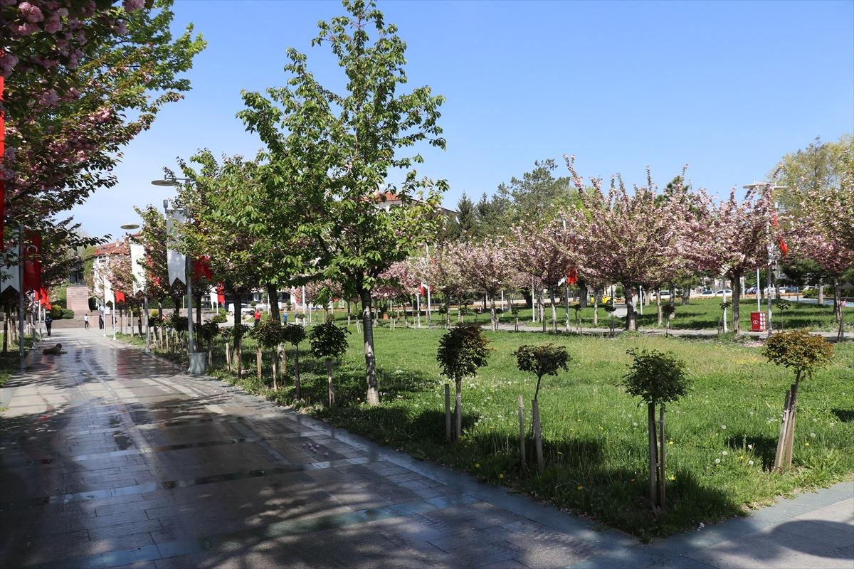 Doğu Marmara ve Batı Karadeniz'de sessizlik hakim