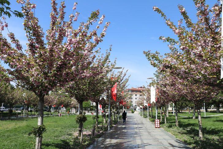 Doğu Marmara ve Batı Karadeniz'de sessizlik hakim G2