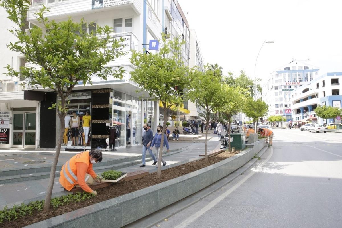 B&uuml;y&uuml;kşehir G&uuml;ll&uuml;k Caddesi&rsquo;ni 40 bin &ccedil;i&ccedil;ekle s&uuml;sleyecek