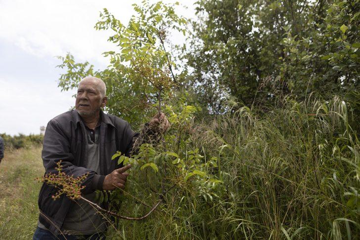 15 yıldır mağarada yaşıyor! 'Nerede değil, nasıl yaşadığım önemli' G3