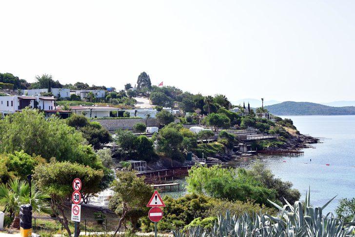 Yılmaz Özdil'in eşi Hülya Özdil hakkında suç duyurusu G3