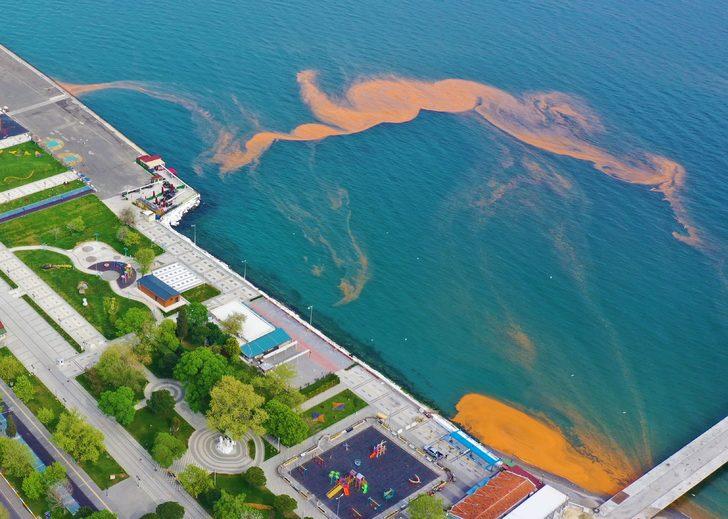 Tekirdağ sahili turuncu renge boyandı G1