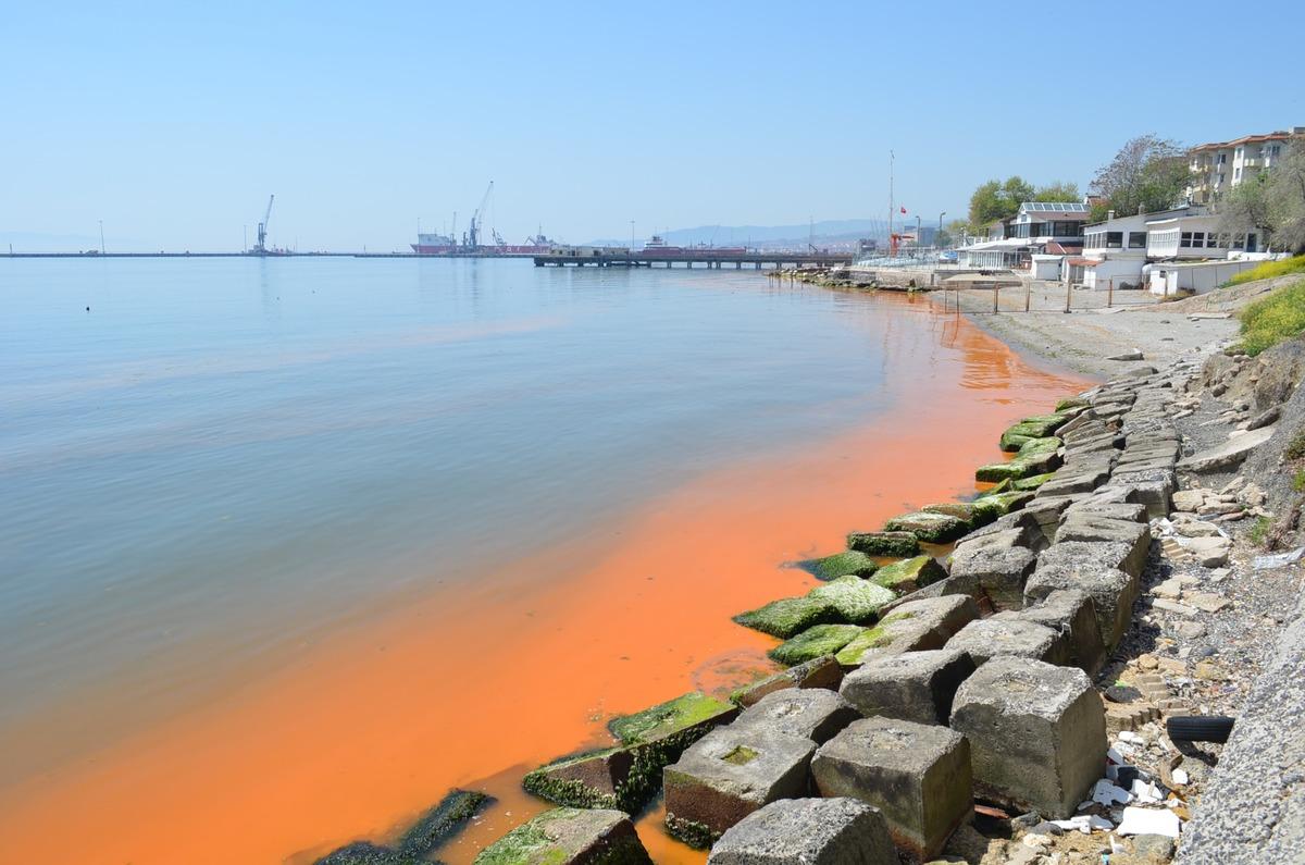Tekirdağ sahili turuncu renge boyandı