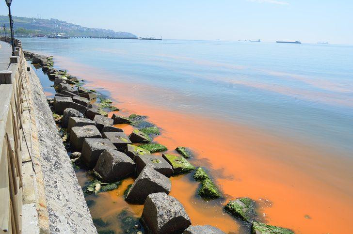 Tekirdağ sahili turuncu renge boyandı G5
