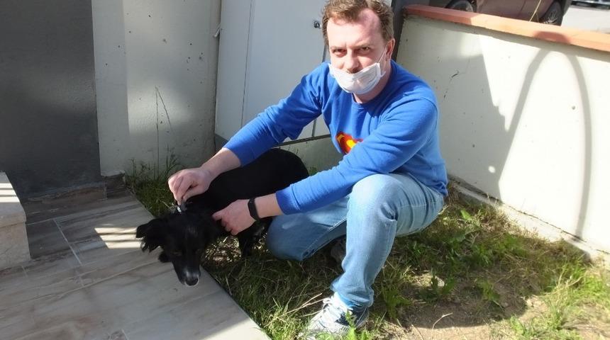 Burhaniye&rsquo;de k&ouml;peklere aşı