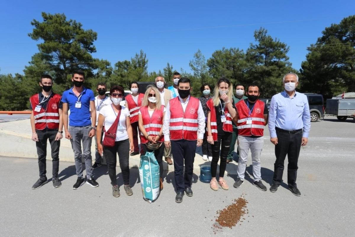 Başkan T&uuml;t&uuml;nc&uuml;, sokak hayvanlarını unutmadı