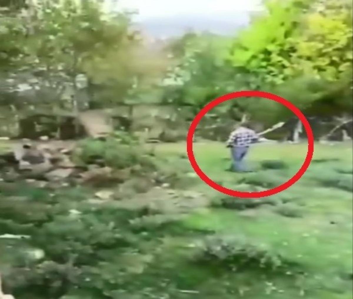 Sinop&rsquo;ta k&ouml;peğini k&uuml;rekle d&ouml;verek &ouml;ld&uuml;ren kişiye 947 TL ceza