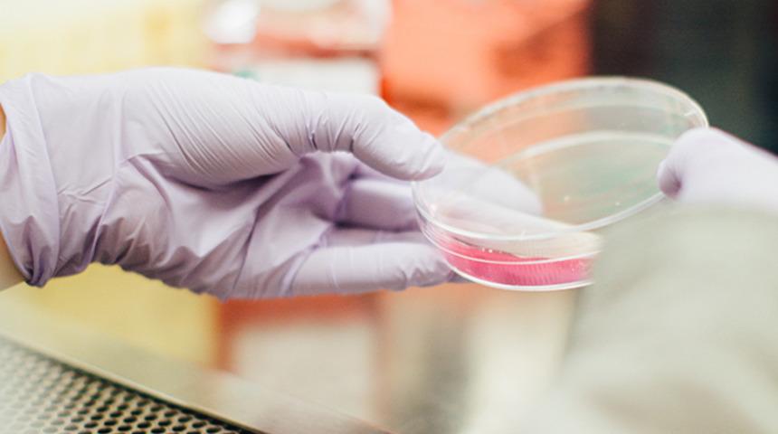 ABD'li bilim insanlarından umut veren koronavir&uuml;s testi! 