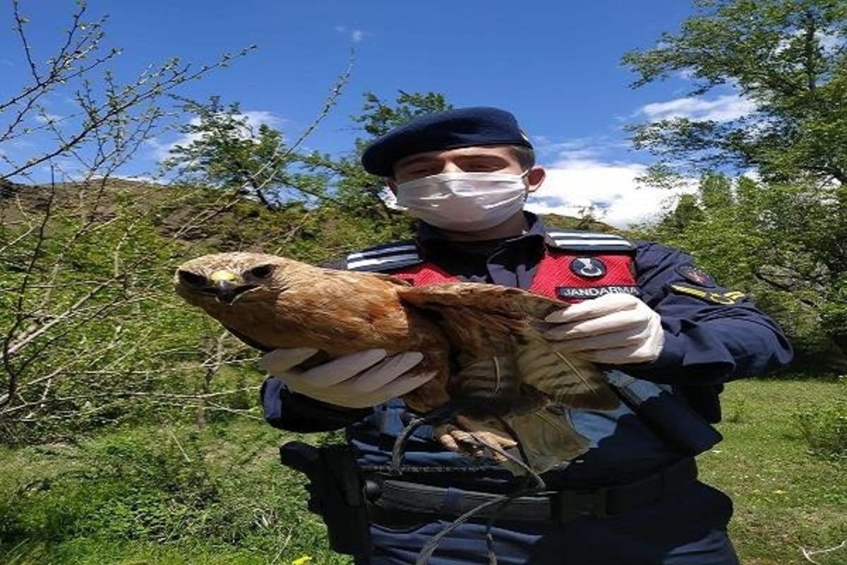 Yaralı Şahin&rsquo;e jandarma sahip &ccedil;ıktı