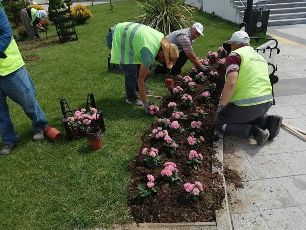 D&uuml;zce&rsquo;de bahar &ccedil;i&ccedil;ekleri dikimi devam ediyor