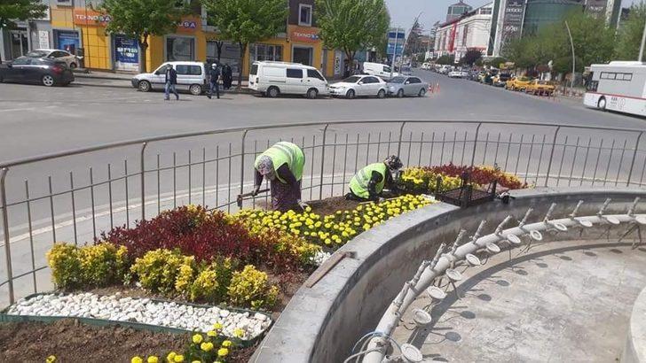 Düzce’de bahar çiçekleri dikimi devam ediyor G2