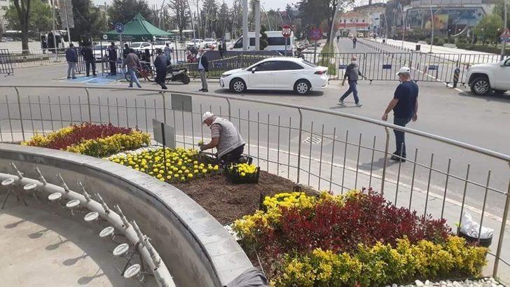 Düzce’de bahar çiçekleri dikimi devam ediyor G4