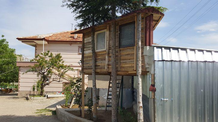 Çocukları için bahçesine ağaç ev yaptı G1