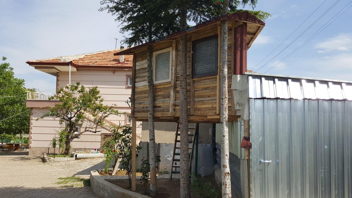 &Ccedil;ocukları i&ccedil;in bah&ccedil;esine ağa&ccedil; ev yaptı