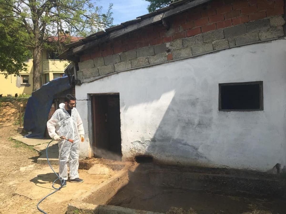 D&uuml;zce Belediyesi haşerelere karşı ila&ccedil;lama yaptı