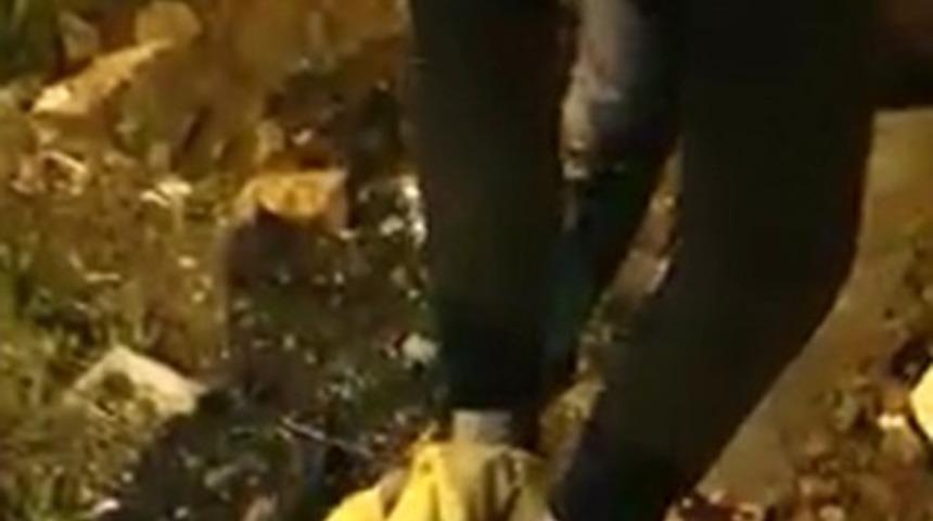 Tilki yavrusu arabaların altından kalmaktan son anda kurtuldu