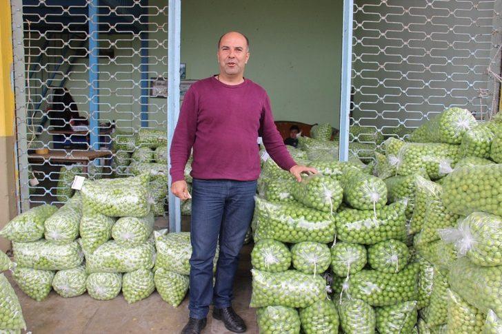 Aydın’da erik üreticisine tat vermedi G2