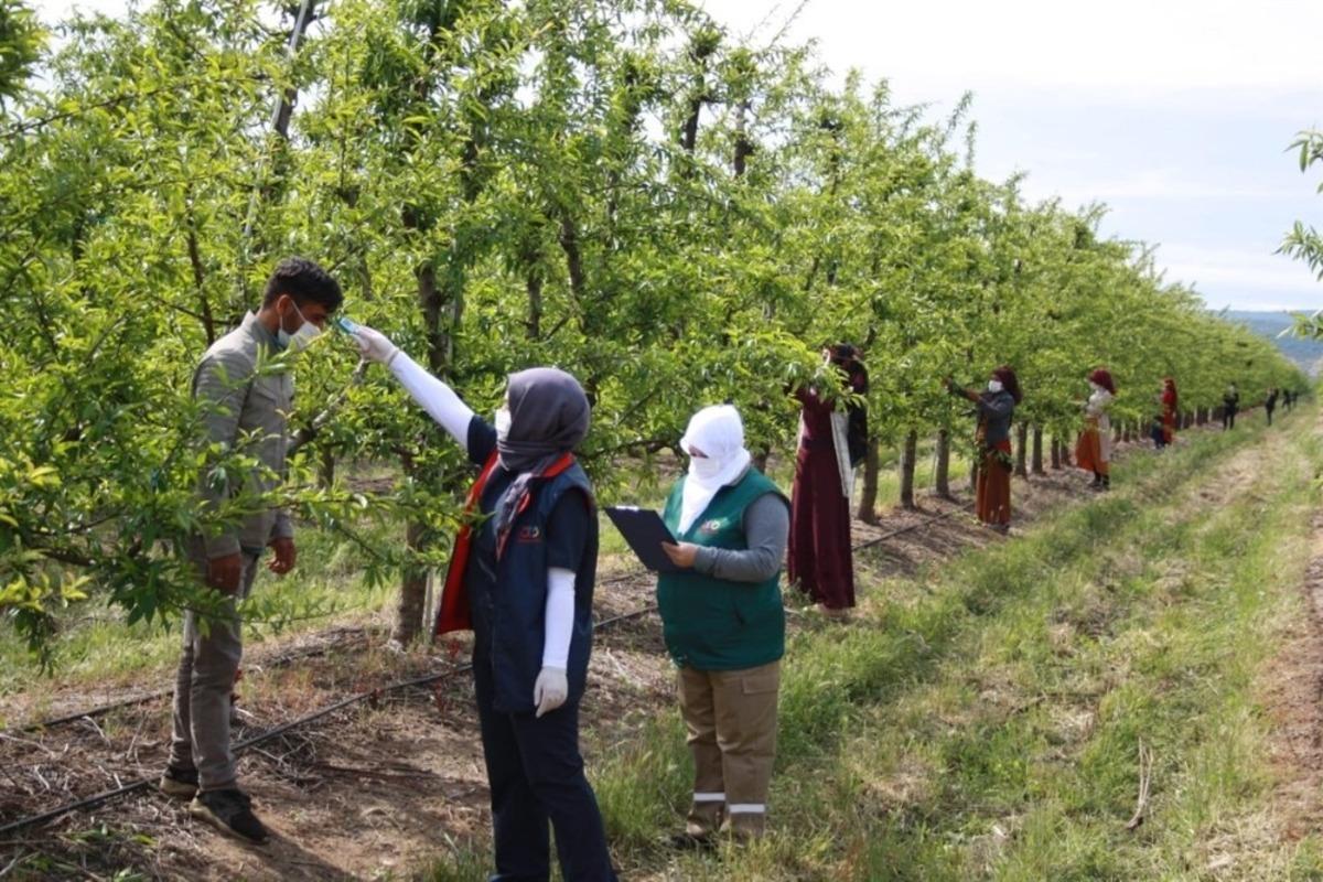 Balıkesir&rsquo;e mevsimlik tarım iş&ccedil;ileri geldi