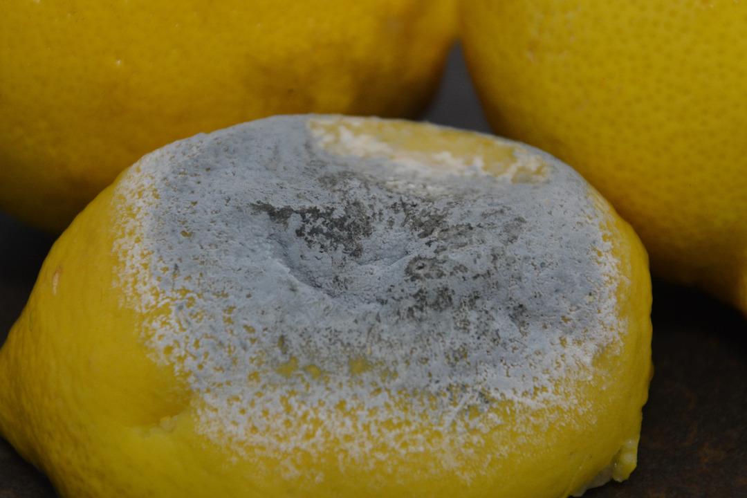 Yiyecekleri uzun s&uuml;re taze saklamanın 7 etkili yolu