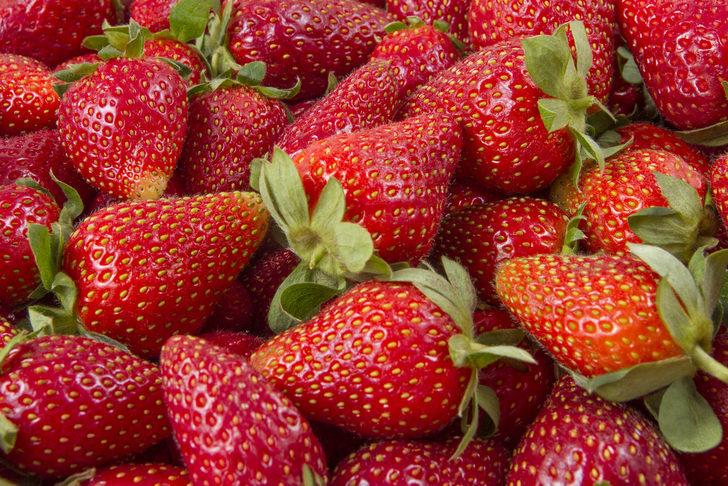 Yiyecekleri uzun süre taze saklamanın 7 etkili yolu G5