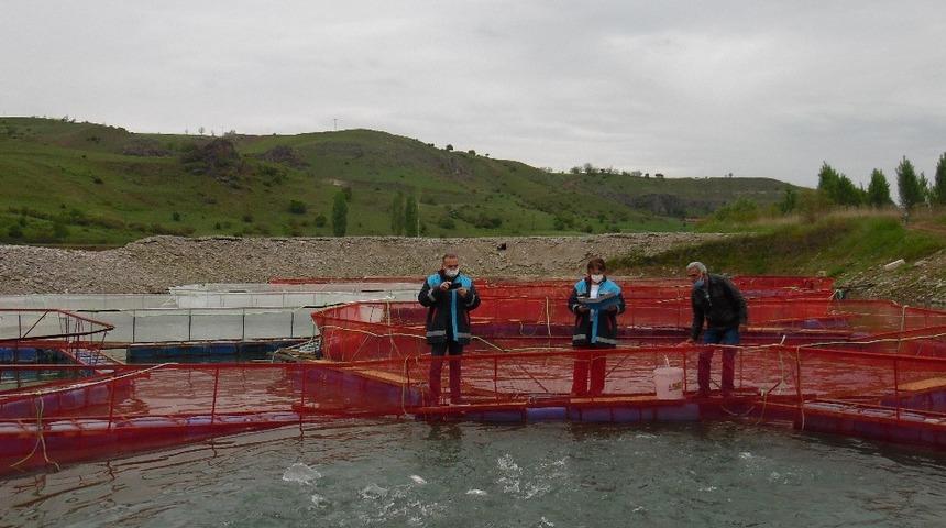 Kaya,"Alabalık &uuml;retiminde kapasitemiz 10 bin tonun &uuml;zerine &ccedil;ıkacak"