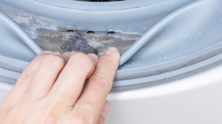 Meğer &ccedil;amaşır makinesini hepimiz yanlış temizliyormuşuz! Sirke, limon tuzu...