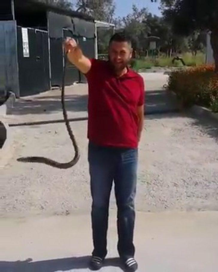 Bahçesine giren yılanı eliyle yakaladı G1