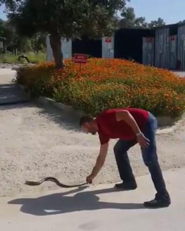 Bahçesine giren yılanı eliyle yakaladı G2