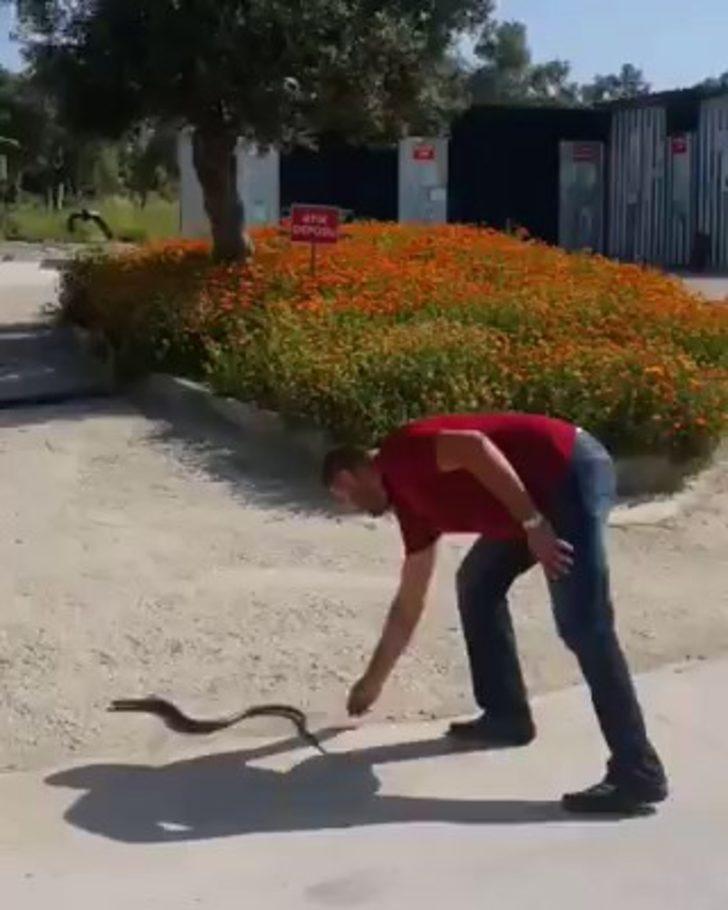 Bahçesine giren yılanı eliyle yakaladı G3
