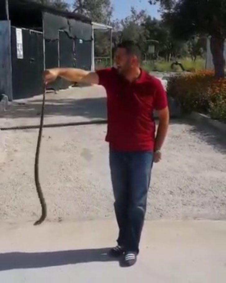 Bahçesine giren yılanı eliyle yakaladı G4