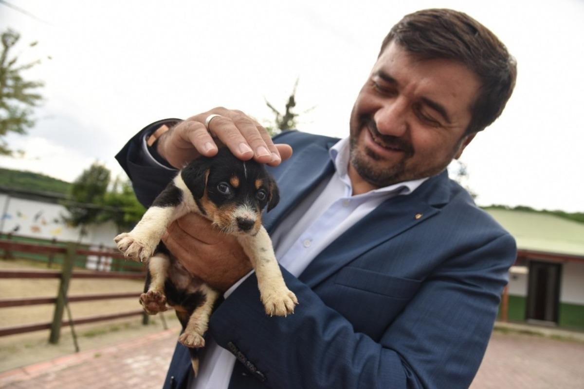 Giresun Belediyesi, can dostlarını rahat ettiriyor