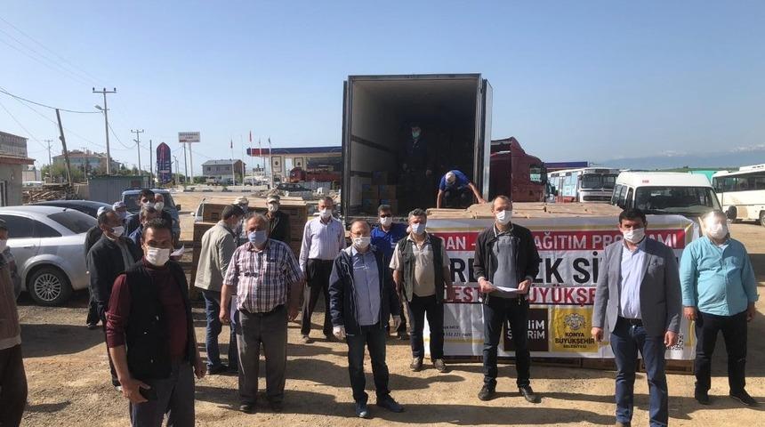 Çilek üretim merkezi Hüyük’e fide desteği