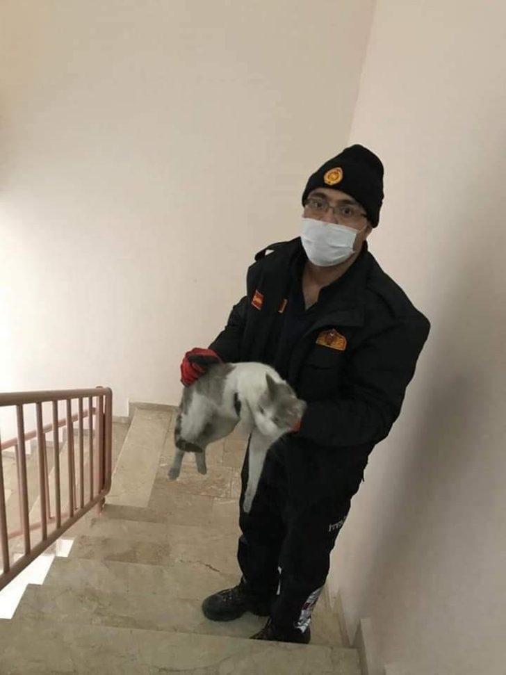İtfaiyeden kedi kurtarma operasyonu G1