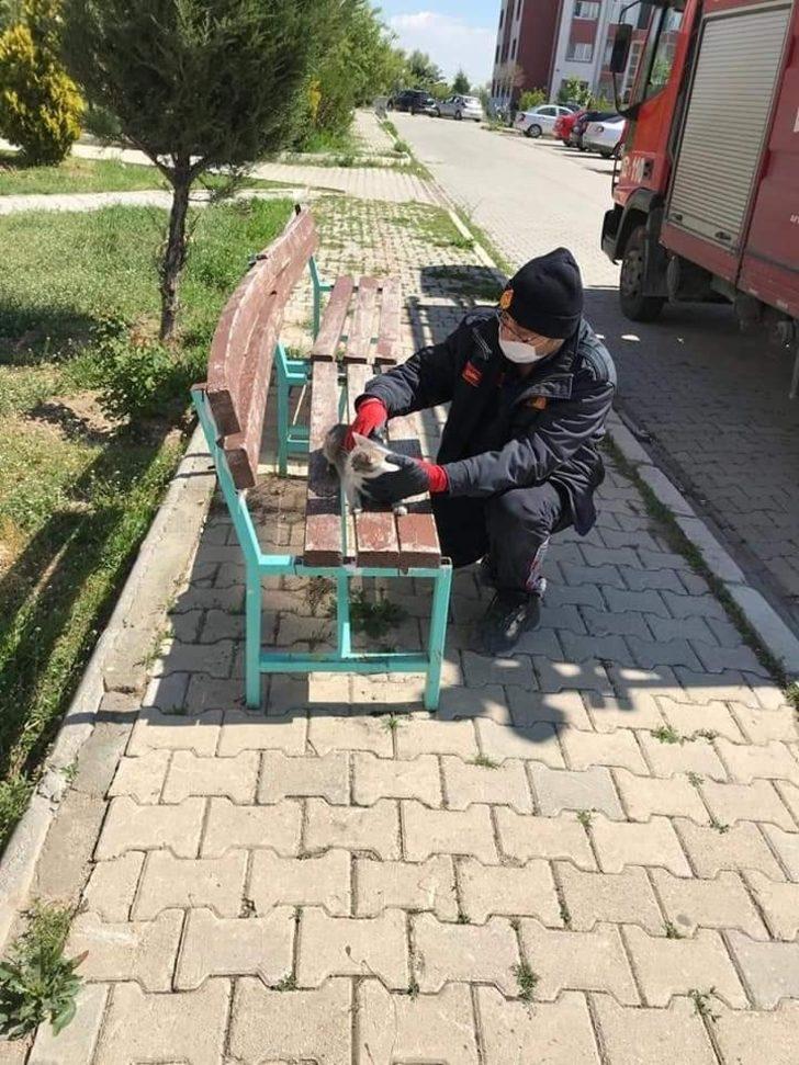 İtfaiyeden kedi kurtarma operasyonu G3