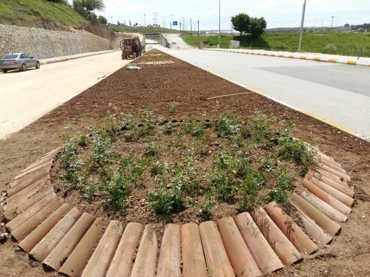 Kavşak ve refüjlerde düzenleme çalışması G4