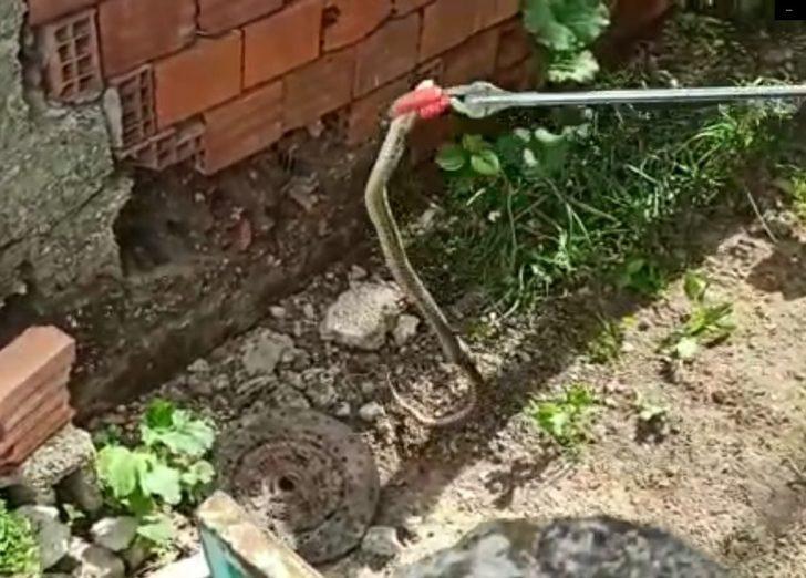 Yalvaç itfaiyesinden yılan operasyonu G1