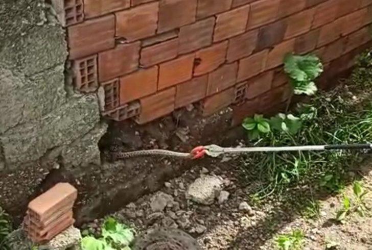 Yalvaç itfaiyesinden yılan operasyonu G2