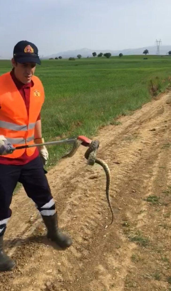 Yalvaç itfaiyesinden yılan operasyonu G3