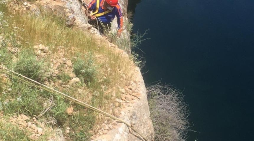 Mahsur kalan ke&ccedil;iyi AFAD ekipleri kurtardı