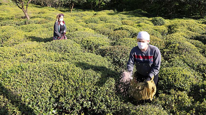 Son dakika! İ&ccedil;işleri Bakanlığı'ndan &ccedil;ay &uuml;reticileriyle ilgili genelge