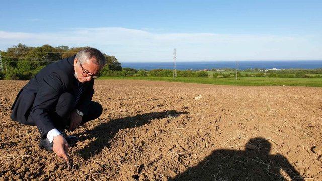 Sinop’ta “Milli Tarım Yerli Tohum Projesi