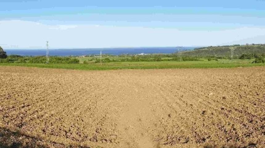 Sinop&rsquo;ta &ldquo;Milli Tarım Yerli Tohum Projesi"