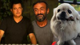 Survivor'dan elenen Ersin Korkut'un köpeği Mes ile ilgili sözleri duygulandırdı! Acun ağlamamak için kendini zor tuttu!