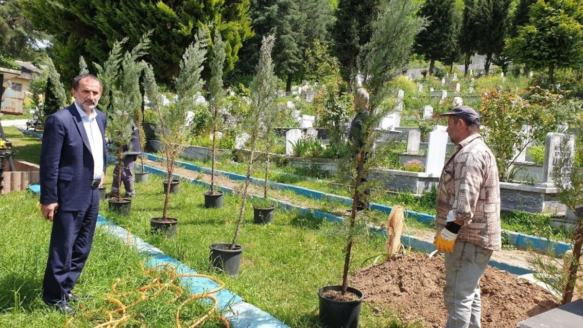 Kaynaşlı&rsquo;da mezarlıkta d&uuml;zenleme yapılıyor