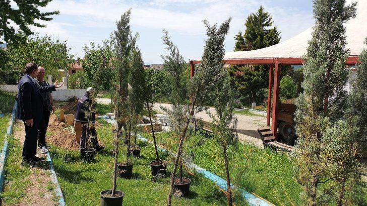 Kaynaşlı’da mezarlıkta düzenleme yapılıyor G3