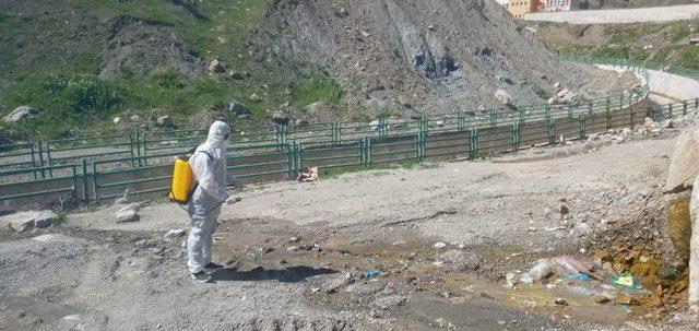 Hakkari’de dere yatakları larvalara karşı ilaçlanıyor