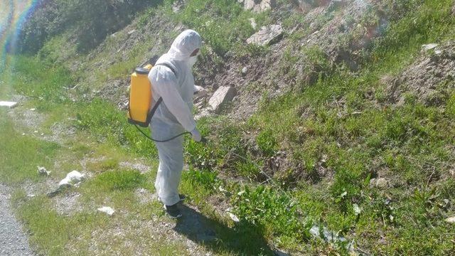 Hakkari’de dere yatakları larvalara karşı ilaçlanıyor